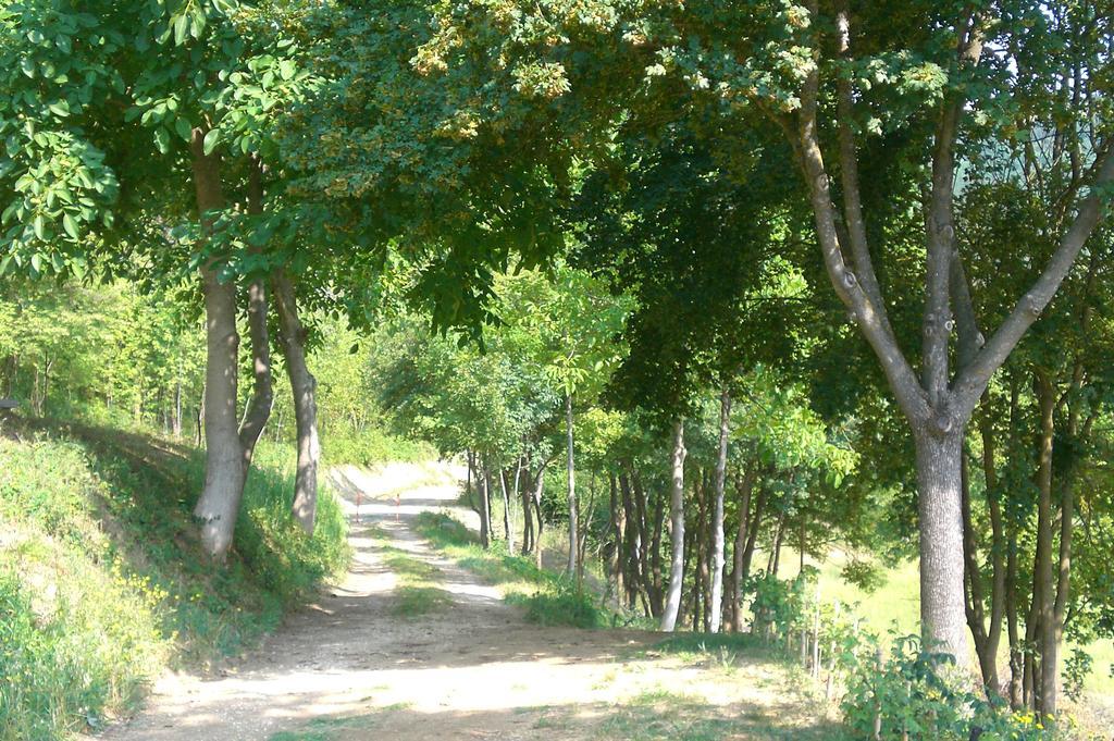 Brisighella Green Wellness Экстерьер фото